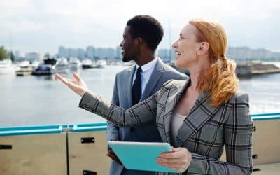 Incorporating in Seychelles: Why Limited Liability and Credibility Matter