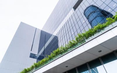 Offshore Company Formation in 2026: Which Jurisdiction Is Right for Your Business? 